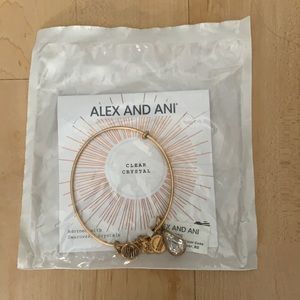 Alex and Ani Teardrop bracelet